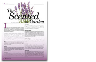 The Scented Garden